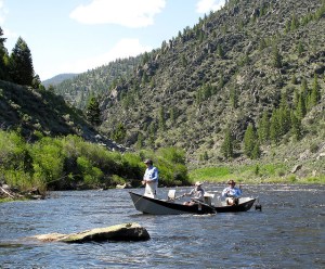 3706585112_94c0387848_z