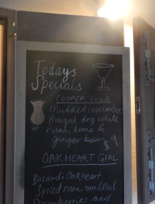 DSCN0190-e1420307585170-225x300