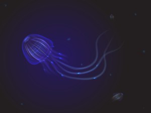 shutterstock_227758906